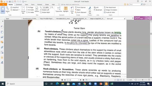 Botany: Types of Stem смотреть онлайн