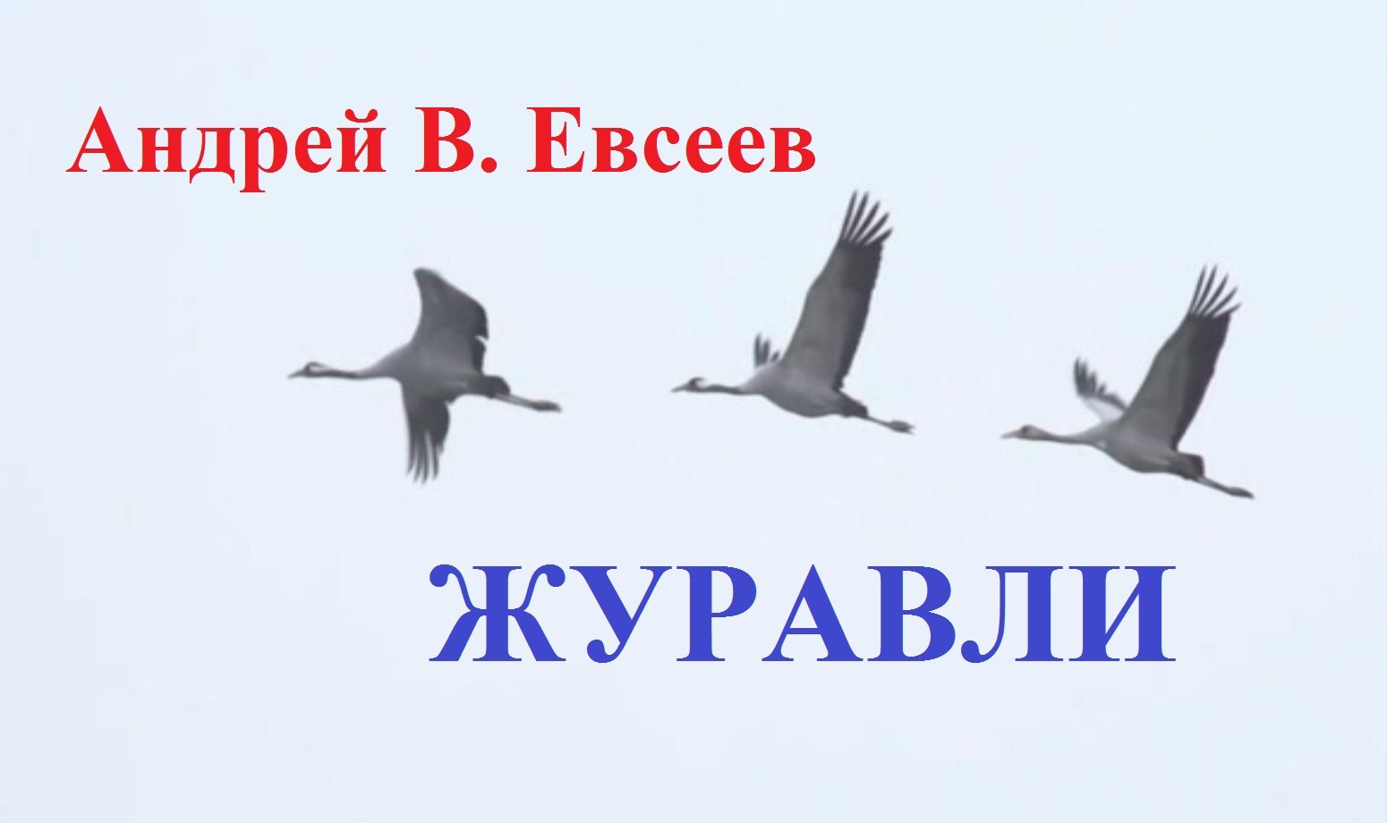 Андрей В. Евсеев. Журавли. CD-альбом "Снег в июне" (2020)