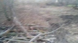 Получили дачи, уборка территории от зарослей#дачи#убоокаучатка#дрова