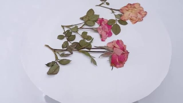 KURUTULMUŞ GÜL #kurugül kurutulmuşgül #driedrose смотреть онлайн