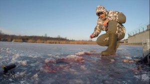 Ловля плотвы зимой. Река Граевка (Черная речка).