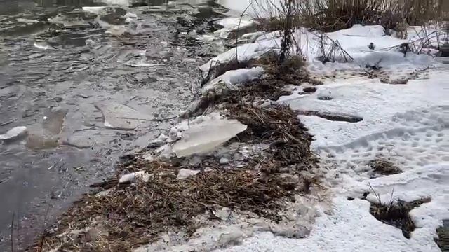 Квадроцикл на Авторосах смотреть онлайн