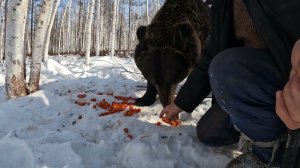 Мы трапезничаем.