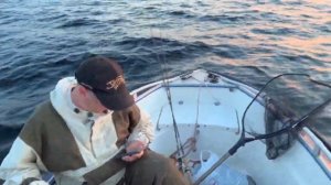 Рыбалка на Рыбинском водохранилище 2022 июль