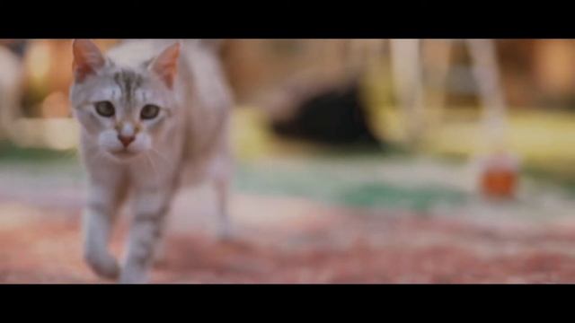 Shooting Baroque Teaser смотреть онлайн