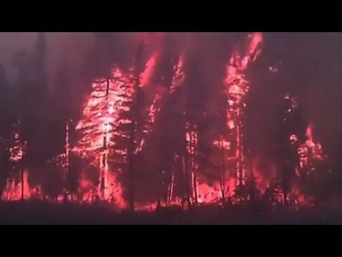 Минимум в 20-ти регионах России сохраняется опасность лесных пожаров