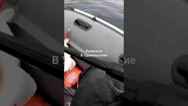 Восьмой дуплет. смотреть онлайн