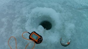 Ладога. Леднёво. Окунь на блесну. Отчёт с Ладоги.