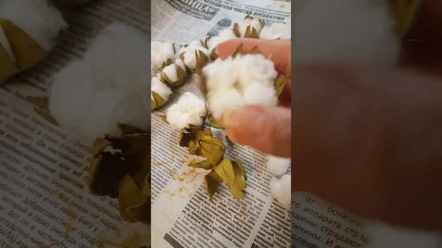 изготовление хлопковых коробочек из яичных лотков и ваты смотреть онлайн