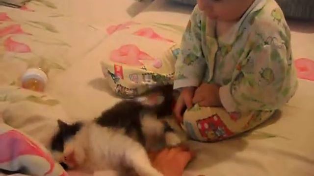 Лёвка и котенок смотреть онлайн