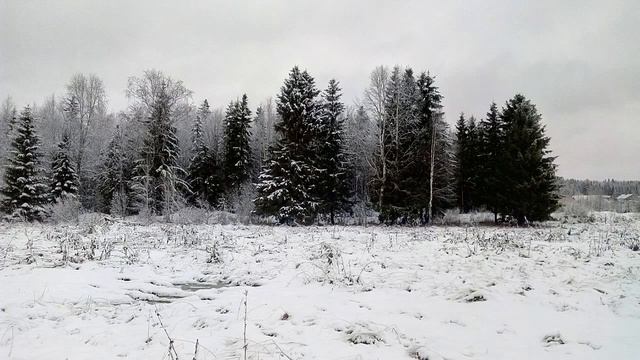 водомерный пост ель база река малая визинга смотреть онлайн