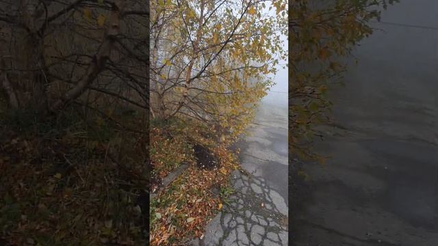 У природы нет плохой погоды...В горах наступают холода.... смотреть онлайн