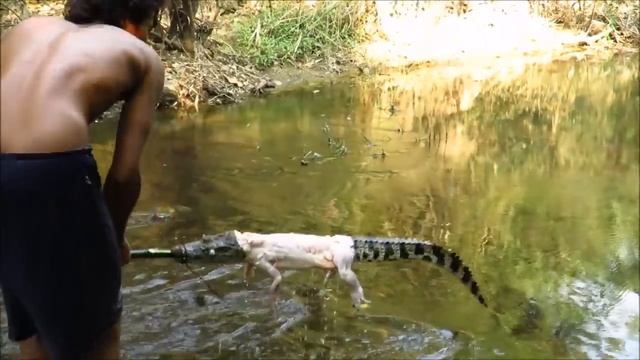 Заколол Крокодила, а потом пожарил и съел его смотреть онлайн