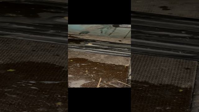 06-09-2023 смотреть онлайн