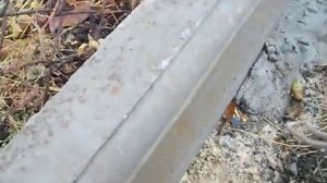 Как правильно установить бордюр.