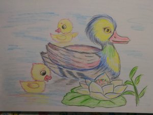 Как нарисовать утку с утятами