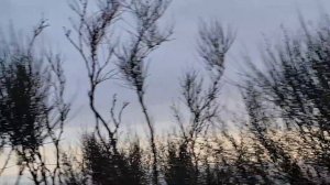 ❄️ Дорога в ЯЛТУ !!! Южнобережное шоссе Крым 2024