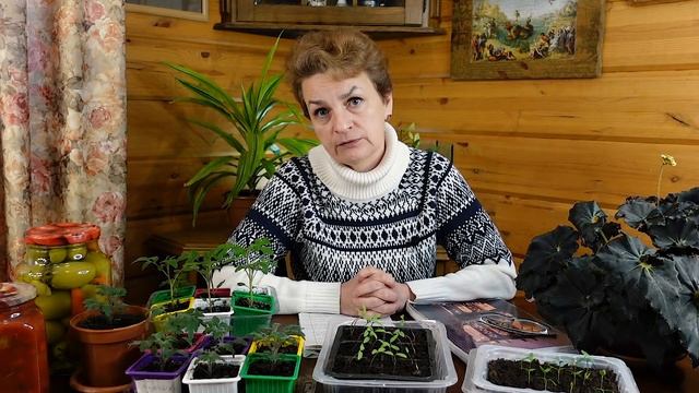 Ошибки начинающих садоводов