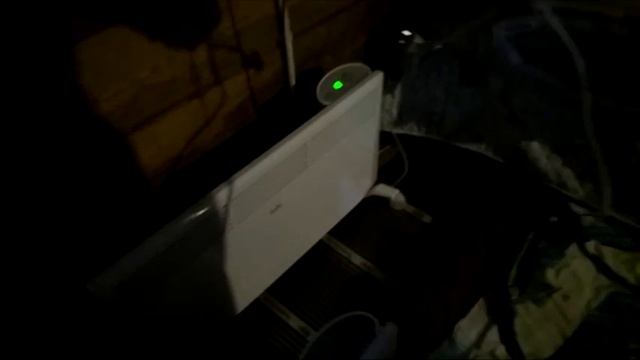 Распаковываем умывальник с подогревом, конвекторы. Гуляем по лесу с Розой.