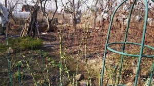 VID_20230409_094253.mp4