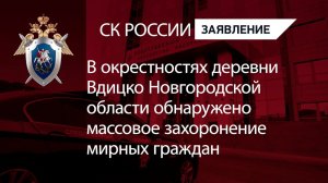 В окрестностях деревни Вдицко Новгородской области обнаружено массовое захоронение мирных граждан