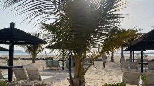 Обзор на отель Le Royal Meridien Beach Resort & Spa 5* Дубай Марина, JBR