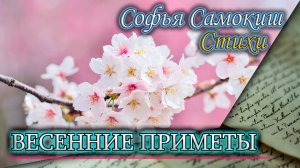 Признаки весны. Софья Самокиш. Стихи о весне