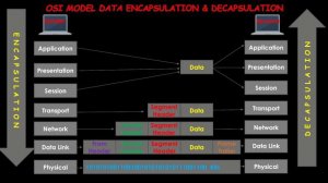 3  OSI  TCP IP Models