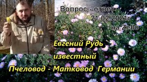 Евгений Рудь на Zello  Вопрос-ответ.