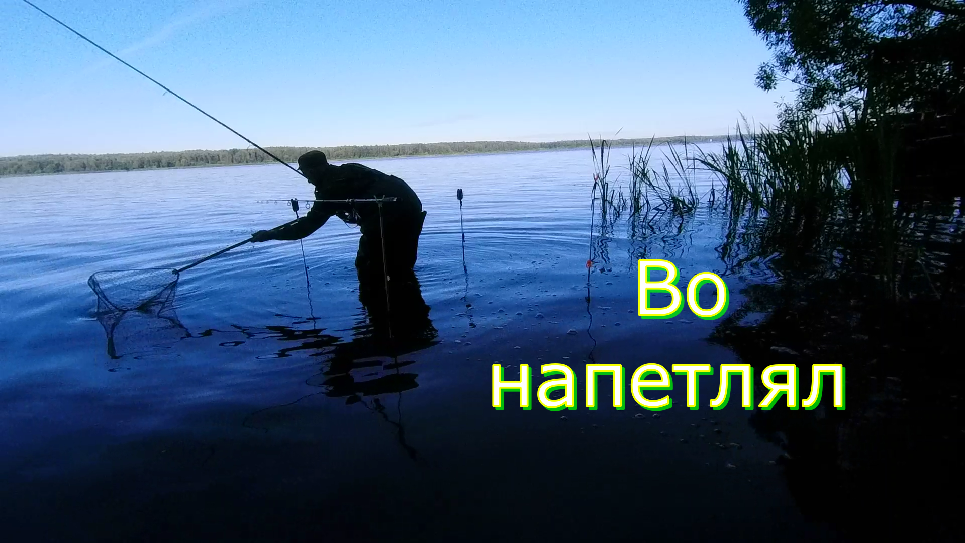 А они пришли на корм позднее и КАКИЕ ЛАПТИ !