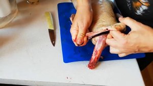 Сравнение Башкирской утки и утки Голубой фаворит