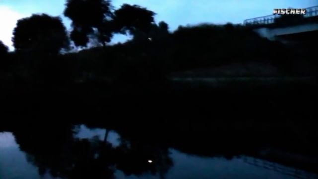 Ловушка для мошек и комаров. смотреть онлайн