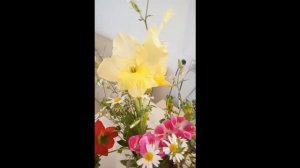 Гладиолусы в горшке. Возможно ли переопыление?