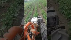 Окучивание картофеля мотоблоком МТЗ + ДО (автопланирование)