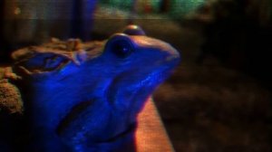 Компания ROSEL (Prodigy) - Breathe