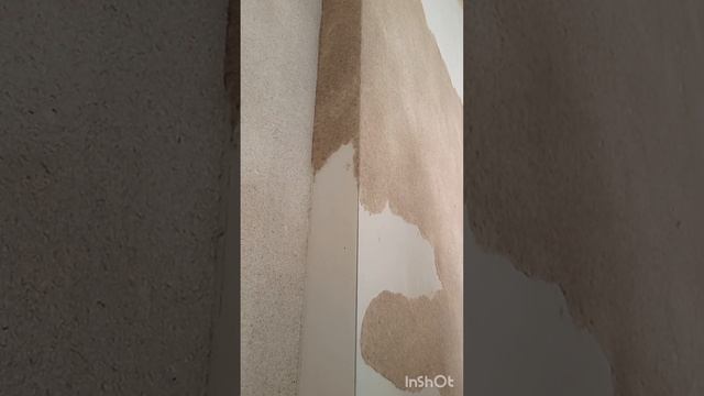 Наносим жидкие обои без фирменного грунта, уйдут ли пятна. смотреть онлайн