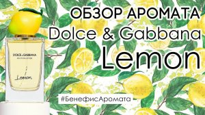 Обзор и отзывы об аромате Dolce & Gabbana Lemon от Духи.рф | Бенефис аромата