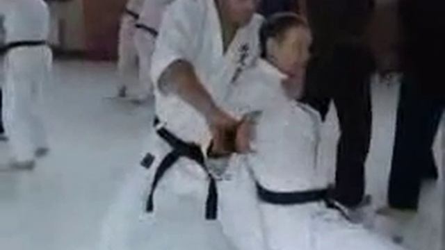Будо-конференция в Киеве - Hanshi Анатолий Соснин смотреть онлайн