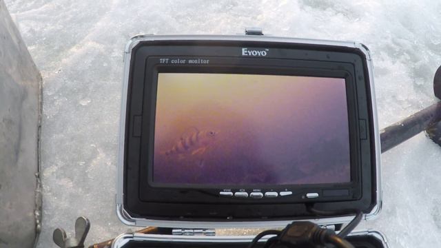 Козырный коряжник . смотреть онлайн