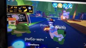 Играю в адопт ми на ноутбуке?!