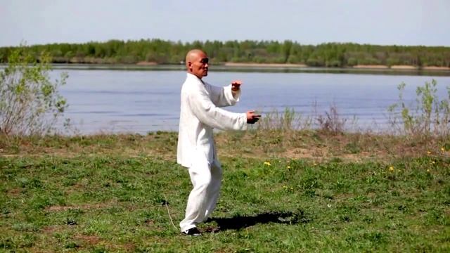 Мастер Ши Янбин - Тайцзицюань стиля Ян 85 форм смотреть онлайн