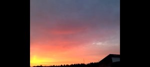 SP-Шанс (2020).mp4