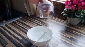 Инкубатор для Артемий 2.0-3.0 ?