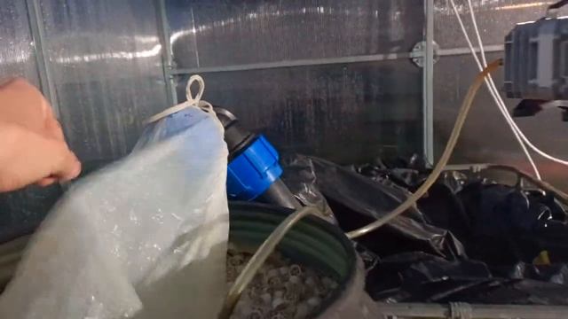 Подготовка пруда к зиме, как убрать ил со дна пруда, механическая очистка воды,разведение карпов ко