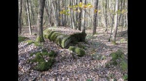 Дольмены ручья Крученного, долина реки Абин