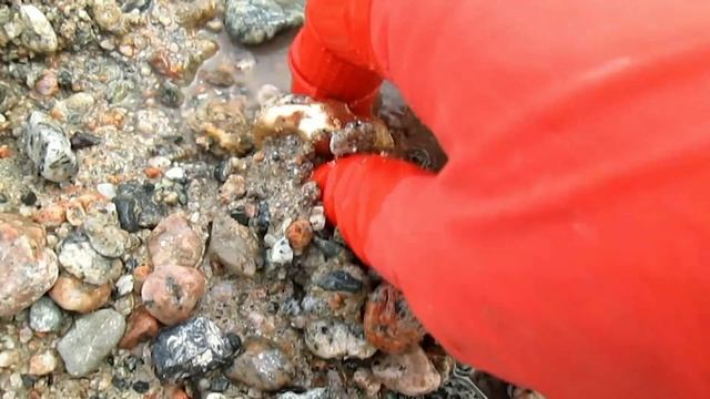 Как найти самородки золота? Богатое месторождение возле нас! смотреть онлайн