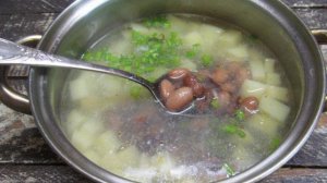 Щи из свежей капусты с фасолью и грибами