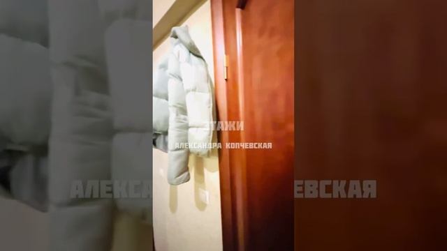 Однушка . Метро Кантемировская 35,8 м2 смотреть онлайн