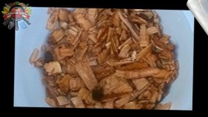 Перед жаркой посыпать угли солью: советы поваров по приготовлению шашлыка!