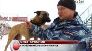 Работа служебной собаки